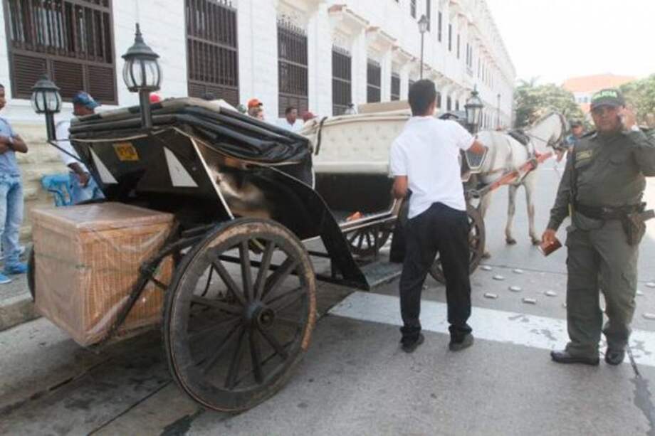 Carruajes en Cartagena, cuestionados tras muerte de caballos