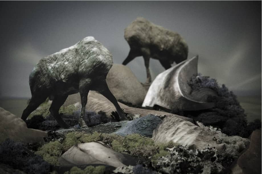 De la serie "Extimate" (2014) Medios mixtos impresión giclée /66 cms. x 102 cms. / Foto: Archivo privado Laura Jiménez G.