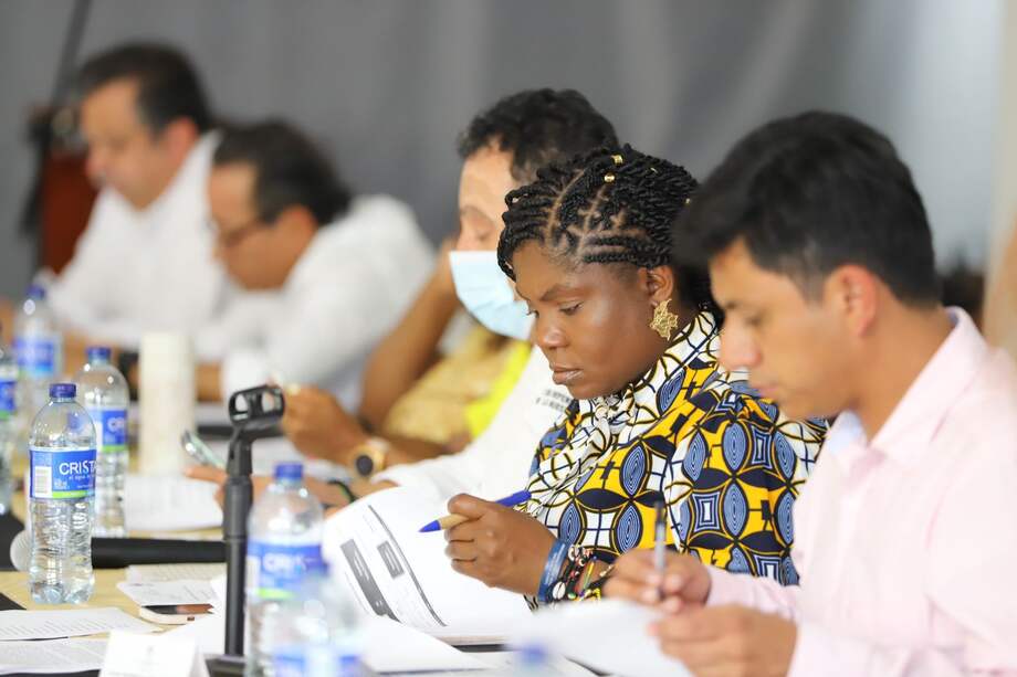 "La raigambre del racismo es tan profunda que para los personajes mencionados pareciera que lo natural fuera que la vicepresidenta no dejara de viajar en carro a ver si demostrara que saldría más barata que la munición con la cual llegaran a derribarla".