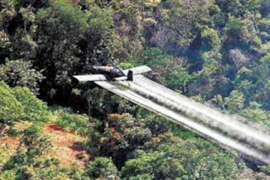 “La erradicación manual es un verdadero fracaso”: Fiscal General