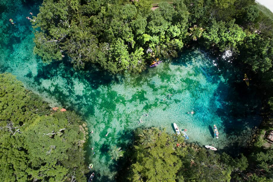Crystal River es un pequeño paraíso natural en la costa oeste de Florida, famoso por sus aguas cristalinas y su entorno salvaje y exuberante.