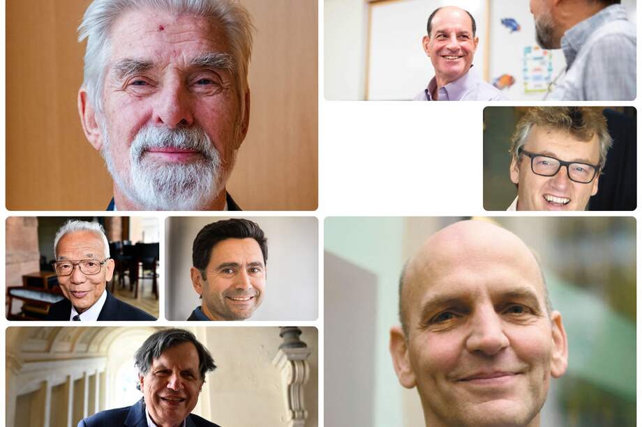 Estos fueron los ganadores de los Premios Nobel.