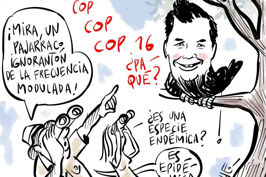 Ambiente COP16.
