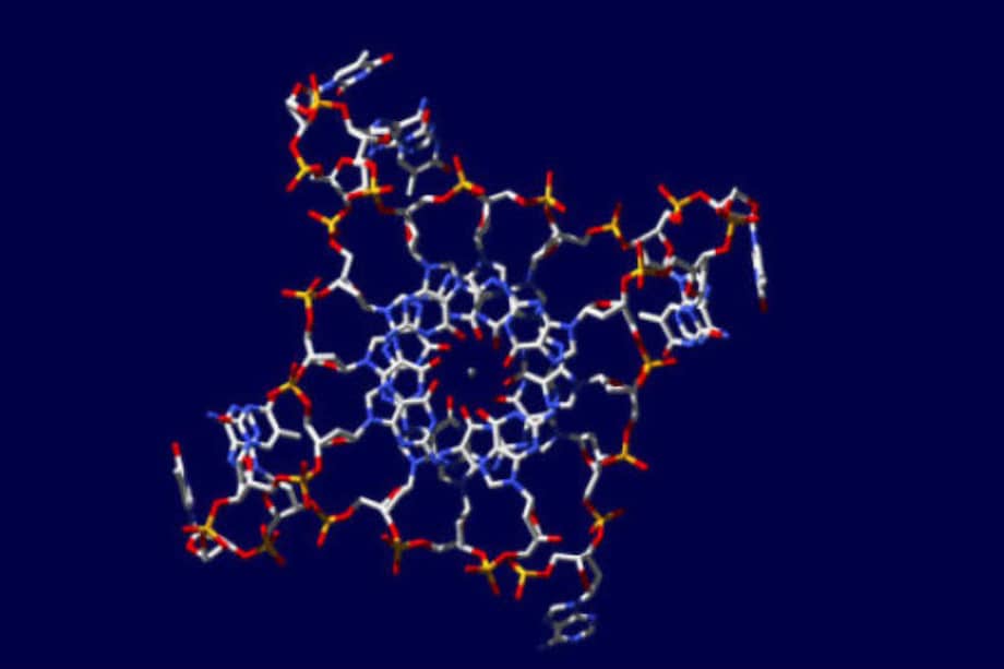Esta es la nueva estructura del ADN encontrada por investigadores ingleses: fue llamado el “G Cuádruplex” . /Internet