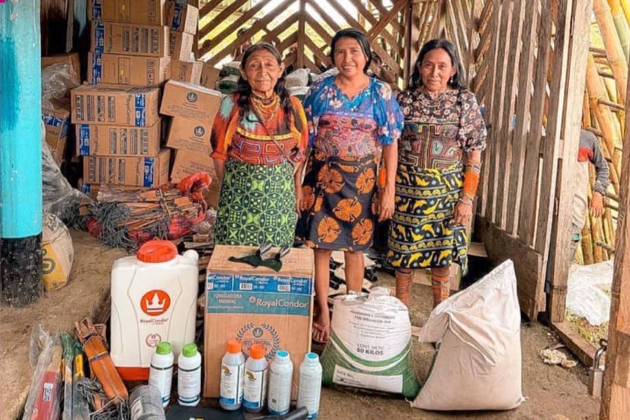 La ANT informó que los recursos fueron destinados a 15 proyectos productivos en resguardos indígenas y consejos comunitarios de Chocó, Antioquia, Tolima, Valle del Cauca, Norte de Santander, Putumayo y Cauca, beneficiando de manera directa a 4.823 personas.