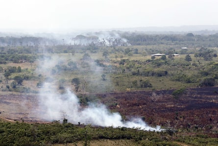 Gobierno Petro invirtió COP 3 billones en un proyecto ambiental que no se puede evaluar