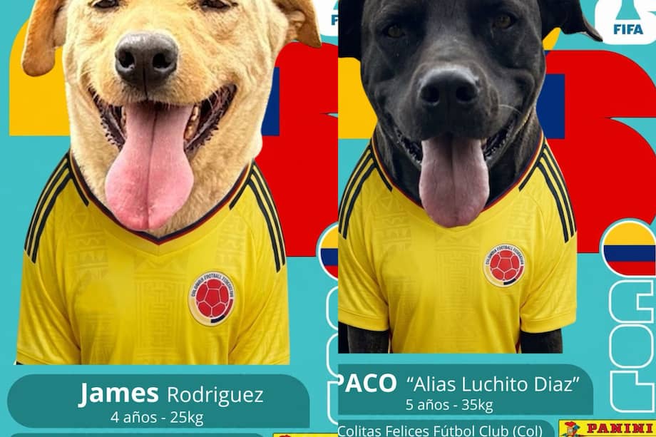 Lanzan álbum tipo Panini del Mundial, pero con perros rescatados que buscan un hogar