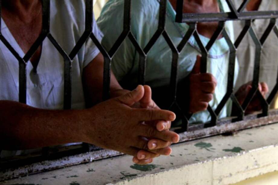 Daniela Bustamante Acosta