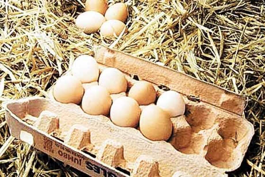 El huevo, un tesoro culinario para combatir el hambre en el mundo