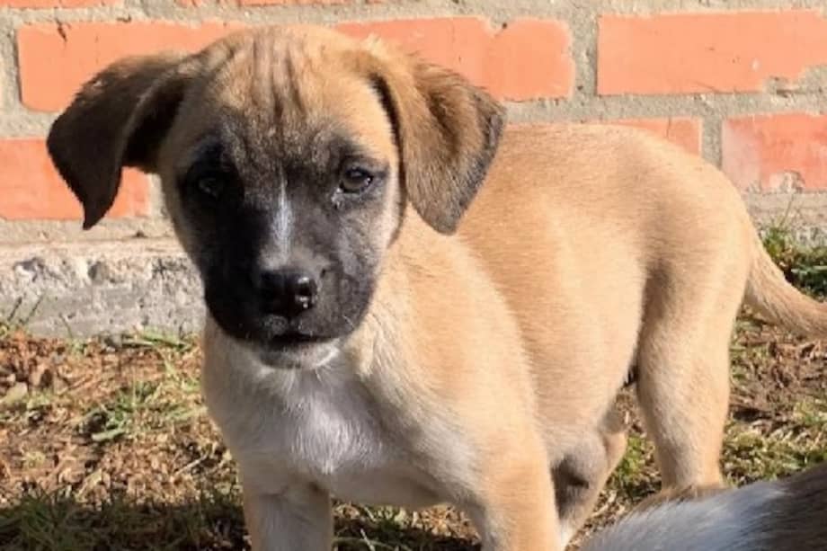 Su vida cambió por completo: perdió su hogar, su rutina y la seguridad que creía haber encontrado.