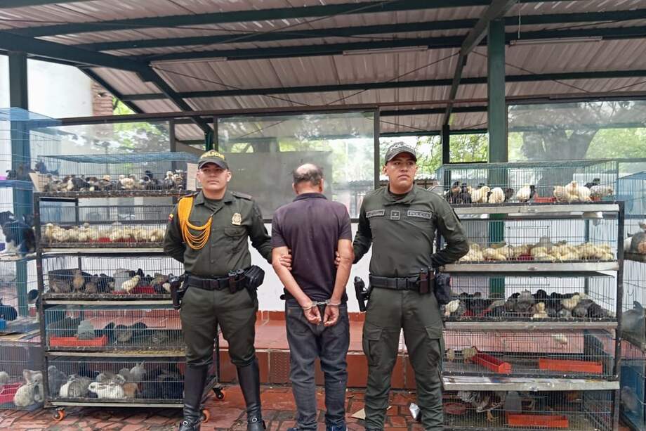 Durante el operativo, las autoridades capturaron a un hombre por el presunto delito de maltrato y tráfico ilegal de fauna silvestre.