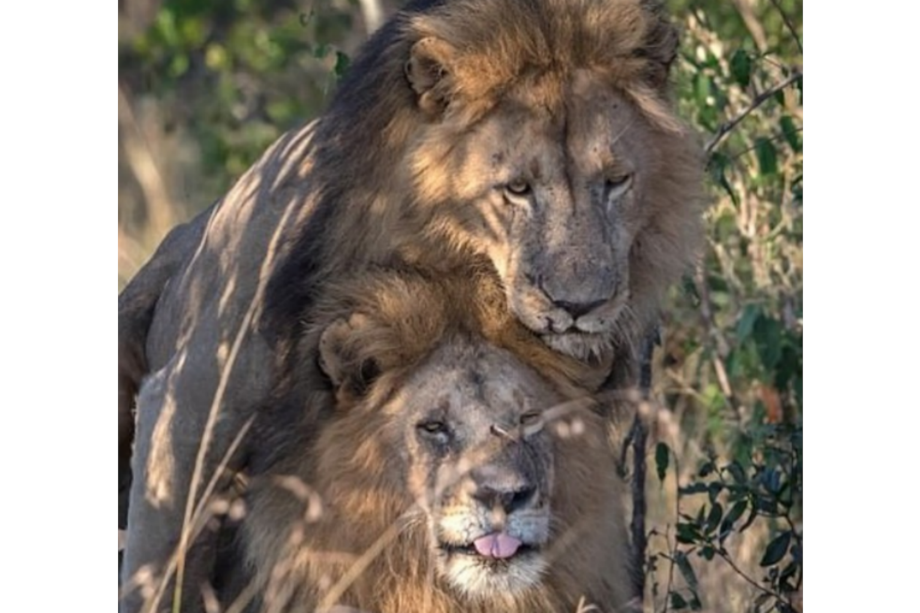 Tomado del Instagram de @paulsgoldstein