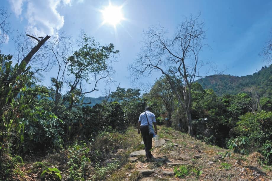 La tenencia y el uso de la tierra es uno de los asuntos que más conflictos genera en el campo colombiano. La especialidad agraria entraría a resolverlos de manera pacífica. /Cristian Garavito