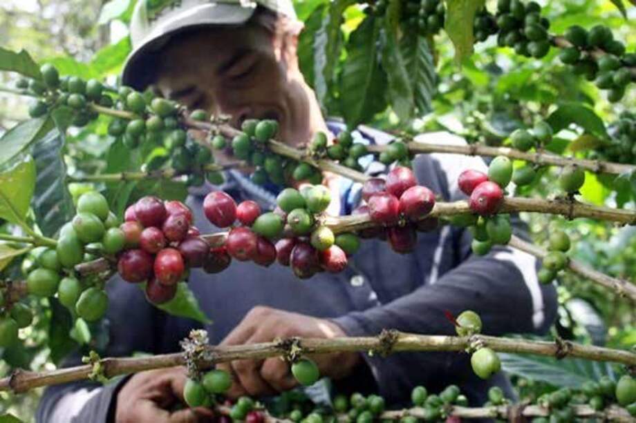 Archivo El Espectador