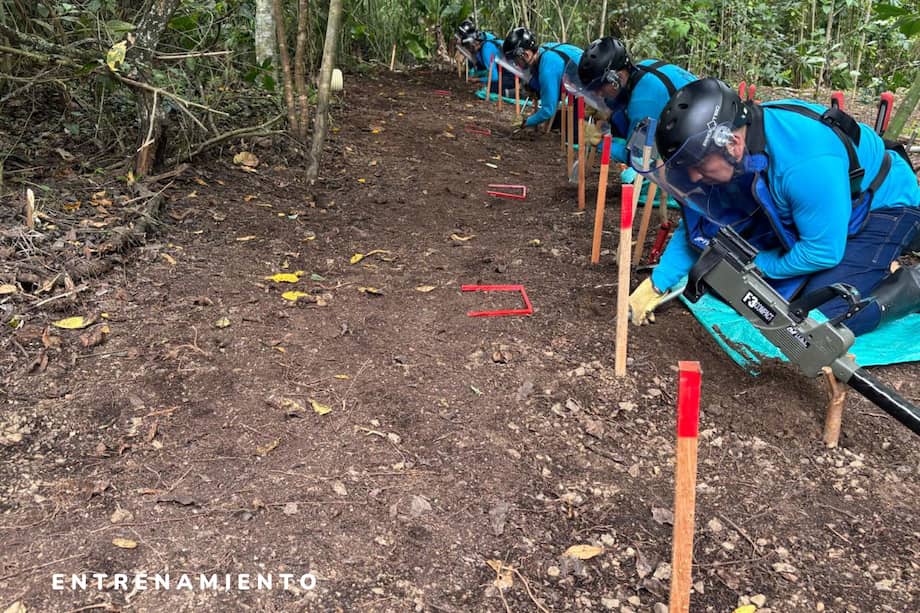 Las condiciones para avanzar en estas labores incluyen mecanismos de coordinación y garantías de acceso para los equipos humanitarios y estatales.