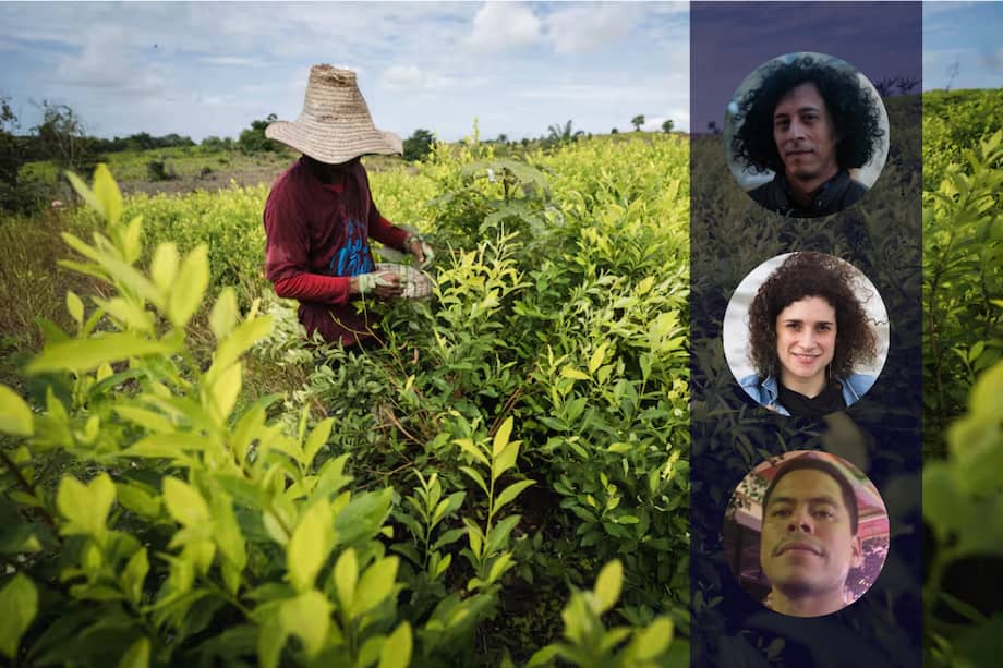 Óscar Pedraza (arriba), Hannah Mészáros (medio) y Paulo Murillo (abajo) son tres de los autores del informe sobre cifras de cultivos de uso ilícito en Colombia.