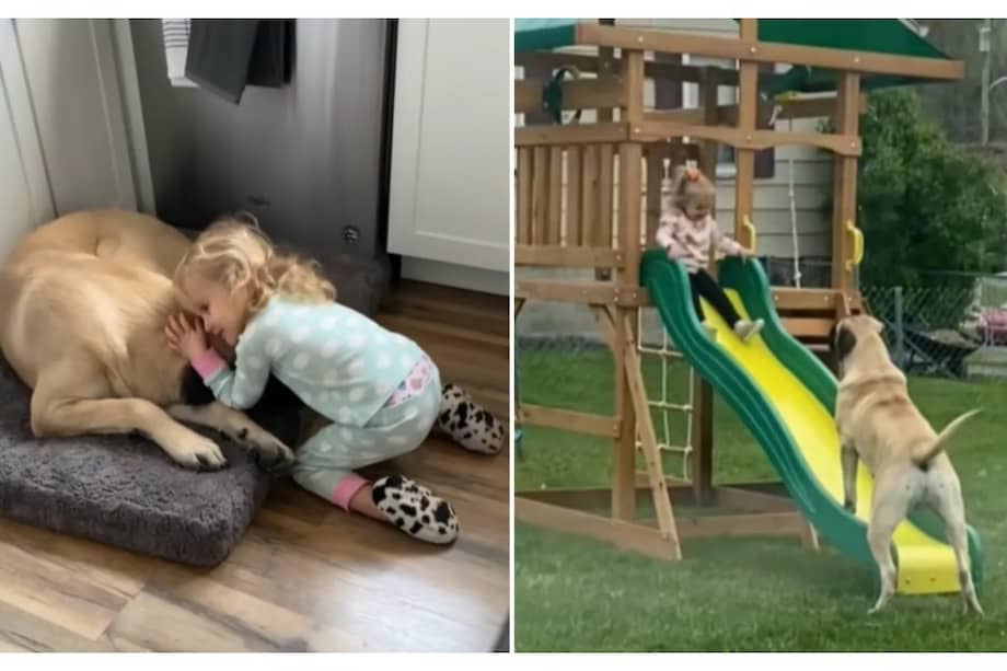 La familia Miller comenzó a compartir la vida cotidiana de Bennie en TikTok, donde uno de sus videos se volvió viral, acumulando cientos de miles de visualizaciones y reacciones.