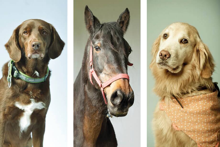 ¿Qué debo hacer ante la apnea del llanto?