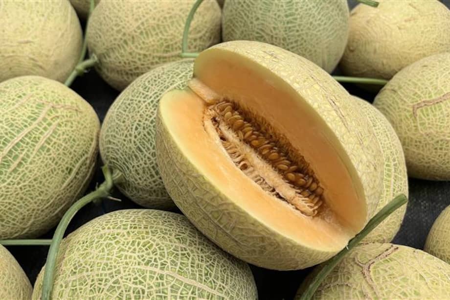 Su cáscara puede aprovecharse como parte del abono, siempre que se utilice de forma adecuada.