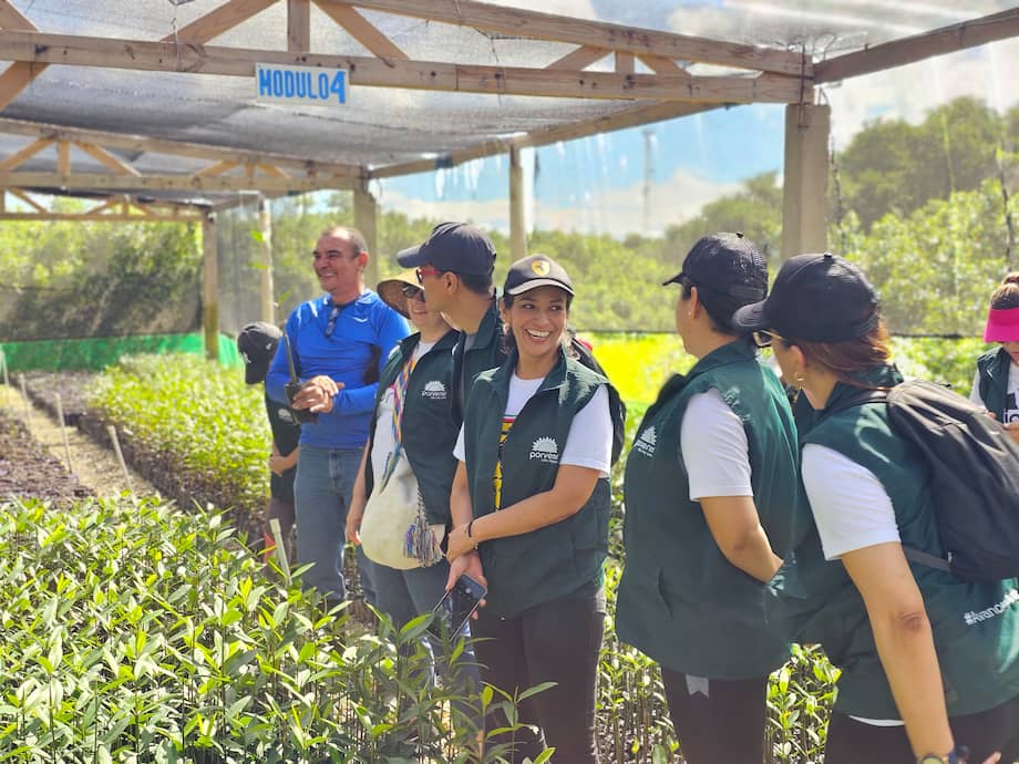 Porvenir: $27 billones en rendimientos y sostenibilidad que impulsa el bienestar financiero