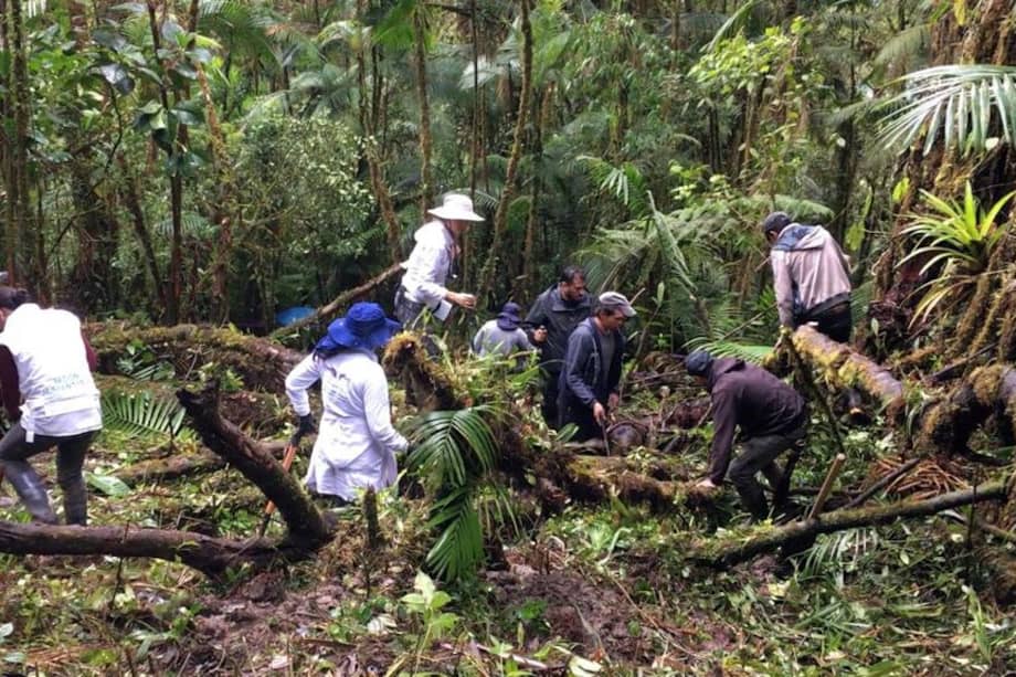 Búsqueda de desaparecidos en San Juanito, Meta, con antiguos ex combatientes de las FARC.