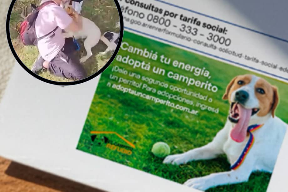 Dereck volvió a casa tras 11 meses gracias a una factura de luz que mostró su foto y permitió el emotivo reencuentro con su familia.