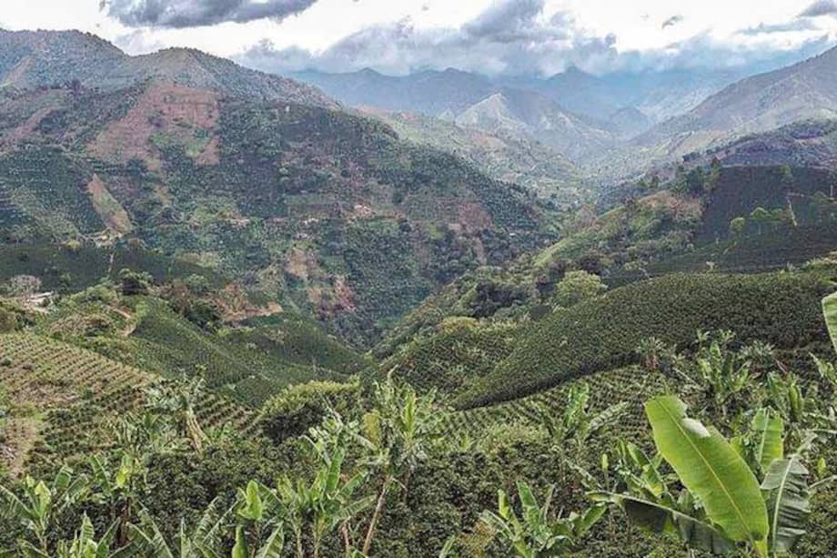 El Departamento Administrativo de Planeación de Antioquia subdivide el suroeste en cuatro zonas: Cartama, Penderisco, San Juan y Sinifaná. En total, según el DANE, el suroeste antioqueño tiene una población estimada en 377.798 habitantes.