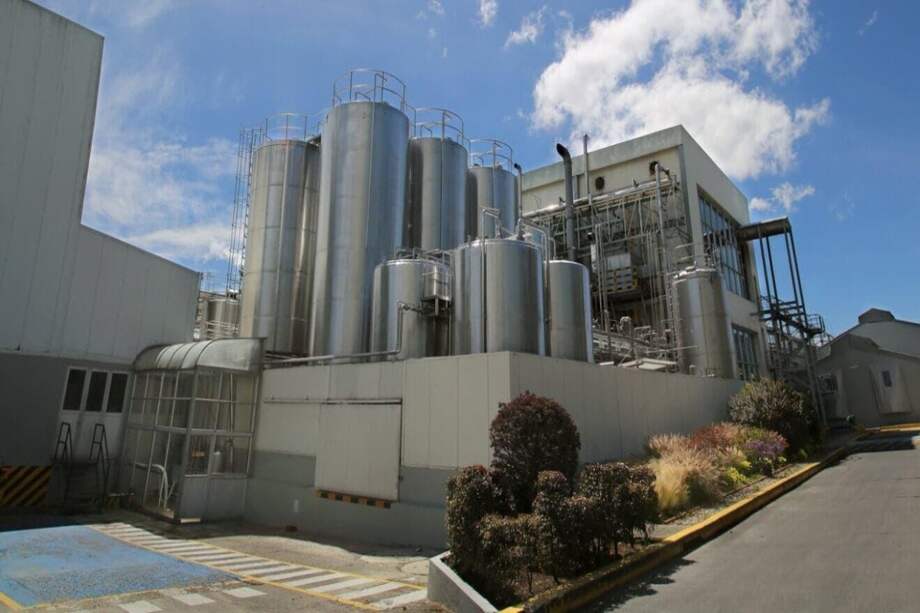 Alquería, que cumplió 62 años, también implementó una estrategia de negocio mediante cinco ejes estratégicos de sostenibilidad: cambio climático, ganadería sostenible, economía circular, educación y nutrición.