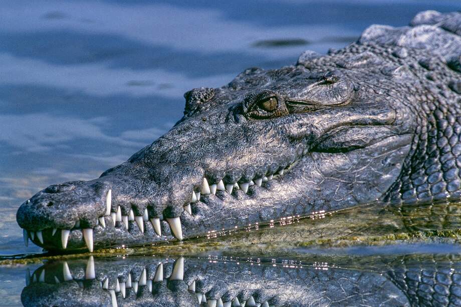 Foto de referencia. / Pixabay