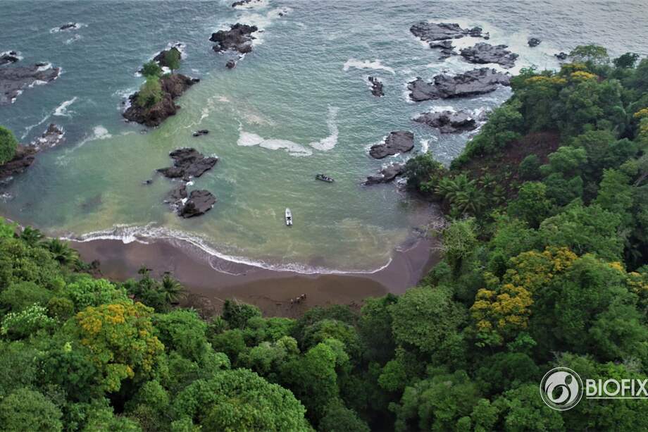 Este proyecto de conservación está ubicado en Bahía Solano y Juradó (Chocó).
