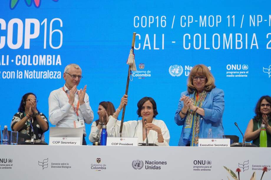 “¿Habrá espacios públicos para explorar cómo reparar a los desposeídos de sus territorios ancestrales?”: Jaime Arocha