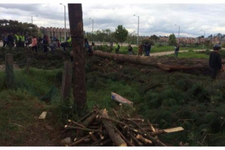 Tomada de Twitter @BrendaM_Perez / Tomada de Twitter @BrendaM_Perez