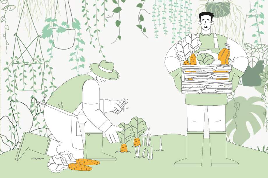 Algunos consejos para montar una huerta