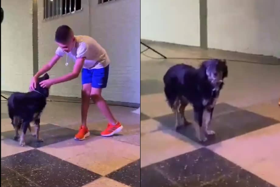 Lionel y su perrita Negrita en medio de la ceremonia de graduación.