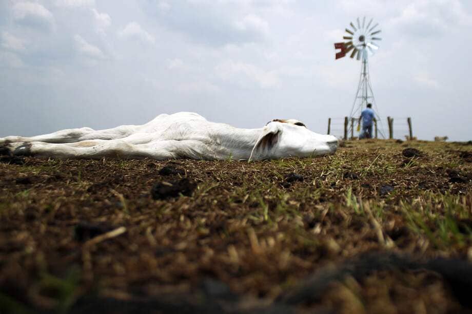 Imagen de 2014, cuando se presentó la sequía que hubo en Paz de Ariporo, Casanare.