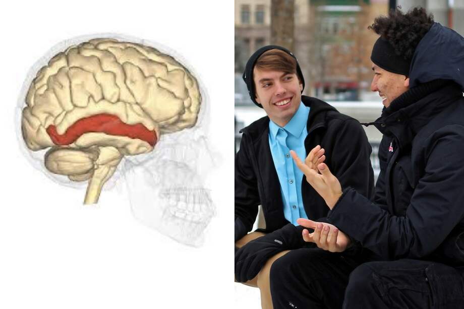 Imagen izquierda tomada de nepsa.es, derecha; Pixabay.