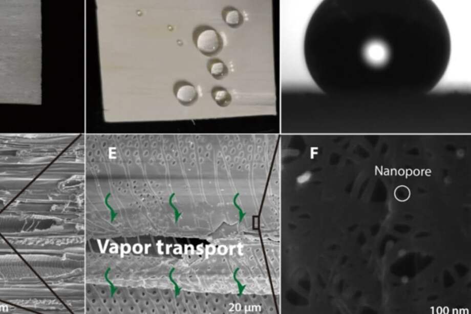 Uno de los métodos modernos de purificación de agua es la destilación por membrana. / Dianxun Hou et al. / Science Advances, 2019