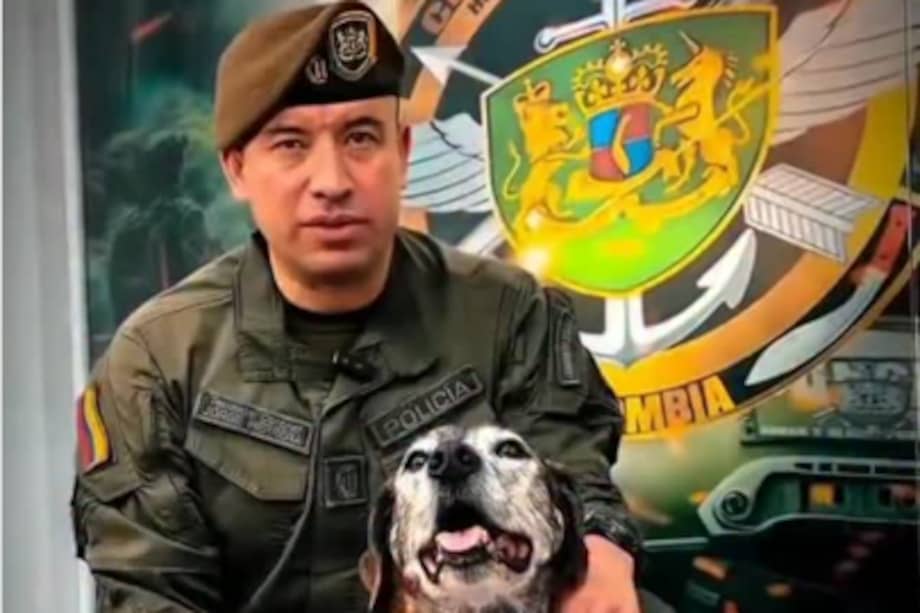 Su historia fue compartida por la Policía Nacional, que lo presentó como un “compañero de cuatro patas con un corazón de Jungla”.
