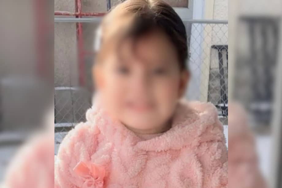 Imagen tomada de la cuenta de X @AlertaMundoNews muestra a una niña de 2 años detenida por agentes de ICE.