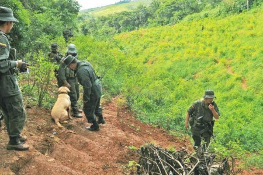 Las noticias recientes sobre las drogas en Colombia nos recuerdan que estamos en mora de intentar nuevas políticas para tratar este tema.