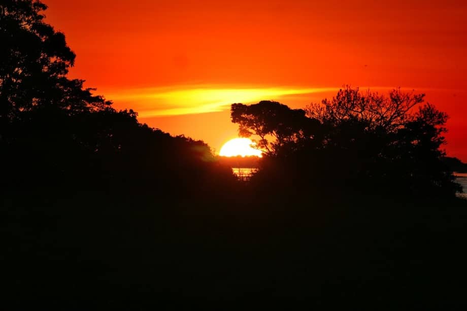 Alrededor de 12 millones de personas en la Amazonía brasileña se verían expuestas a temperaturas de calor extremo, con grandes riesgos para la salud.