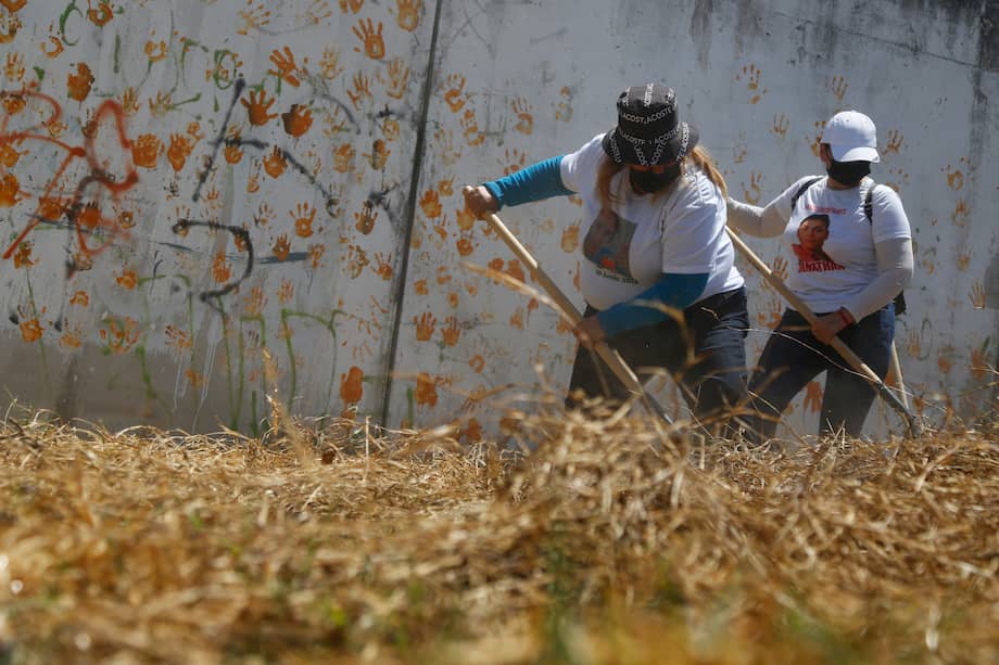 El Registro Nacional de Personas Desaparecidas y No Localizadas (RPDNO) reportó que, en lo que va del año 2022, 275 mujeres han sido reportadas como desaparecidas en el estado de Nuevo León. En esta foto, miembros de brigadas de búsqueda de personas desaparecidas realizan un trabajo de campo en las colonias Chulavista y Villa Fontana Aqua, en el municipio de Tlajomulco, estado de Jalisco (México).