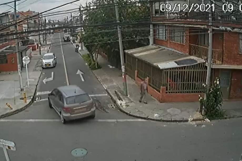 Nuevo caso de maltrato animal: perro fue atropellado y conductor huyó.