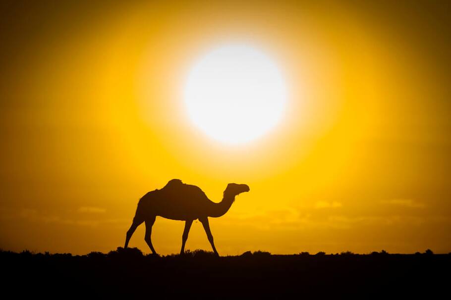 6 ciudades para enamorarse de Marruecos