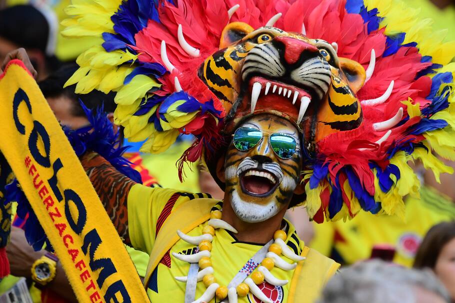 A Colombia fan celebrates at the end of the Russia 2018 World Cup Group H football match between Senegal and Colombia at the Samara Arena in Samara on June 28, 2018. / AFP PHOTO / Luis Acosta / RESTRICTED TO EDITORIAL USE - NO MOBILE PUSH ALERTS/DOWNLOADS