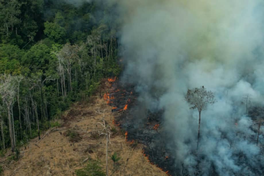 En 2019, se quemaron más de 70.000 hectáreas en las selvas amazónicas de Brasil. /FCDS. Archivo El Espectador.