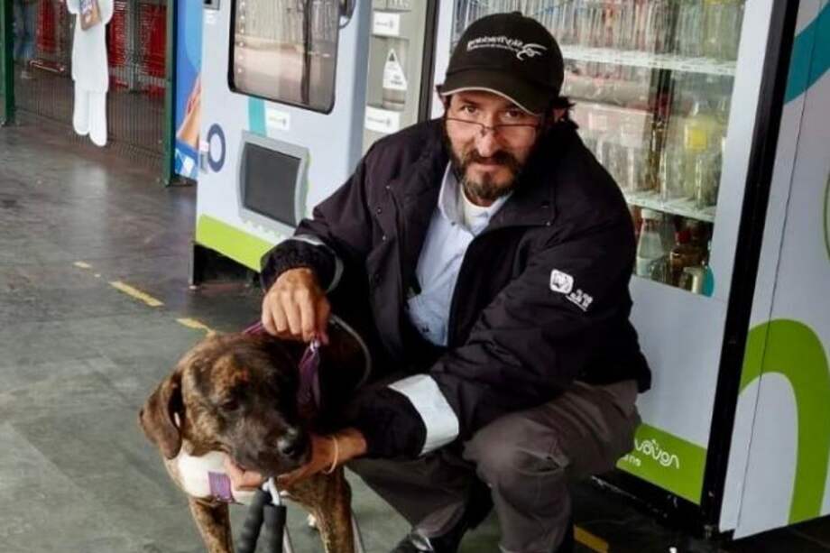 Una perrita criolla fue encontrada amarrada dentro de un bus de una ruta alimentadora.
