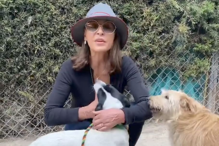 Amparo Grisales, actriz y figura de la televisión colombiana