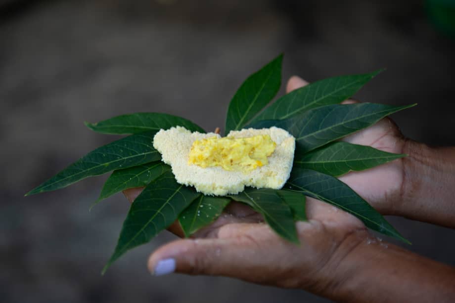 Cientos de alimentos que se encuentran y se siembran en la selva son sustento para las comunidades que habitan la Amazonia.
