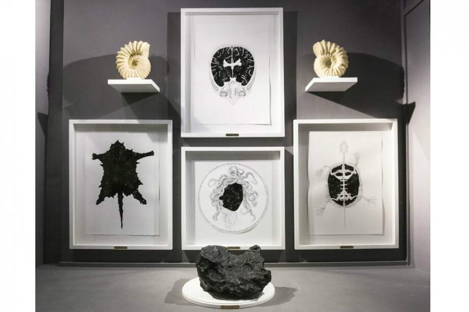 Proyecto “Astrum in Corpore”. Astrum: sideral / Corpore: cuerpo (las estrellas en el cuerpo). De Lina Mazenett y David Quiroga (Instalación – 2015). / Foto: Archivo privado Lina Mazenett y David Quiroga, vista general de la instalación, 2015.